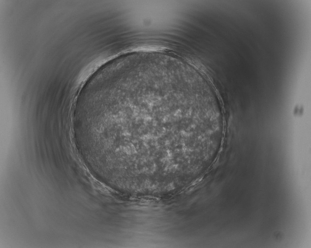 X0000115440337200911181528