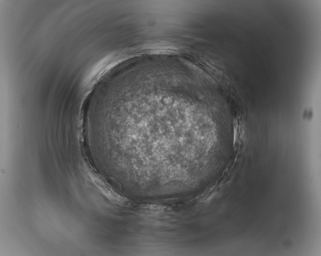 X0000115440339200911181528