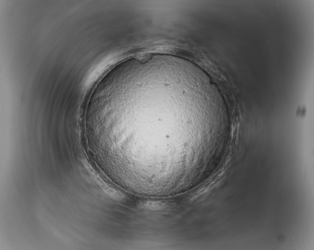 X0000115440341200911181528