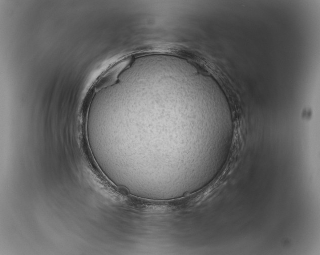 X0000115440342200911181528