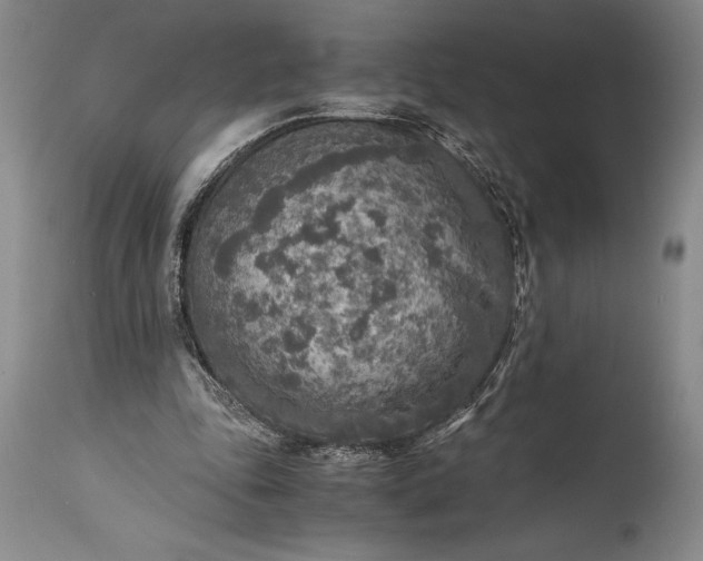 X0000115440343200911181528