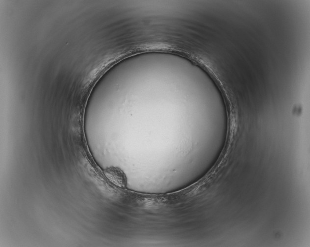 X0000115440345200911181528