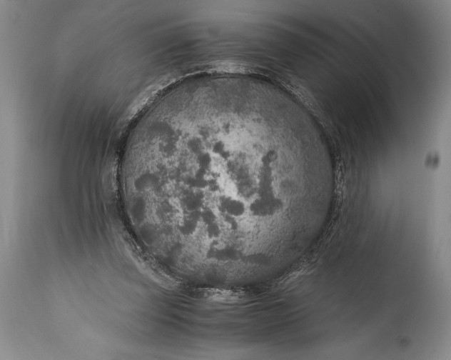 X0000115440347200911181528