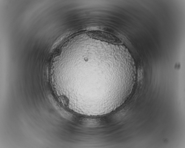 X0000115440349200911181528