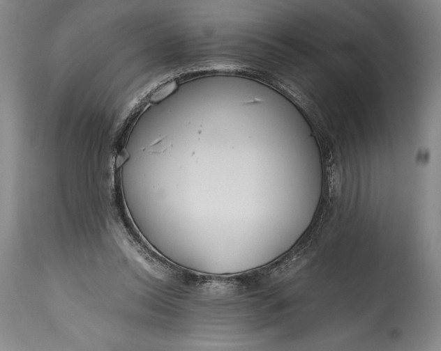 X0000115440350200911181528
