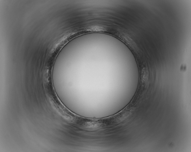 X0000115440351200911181528