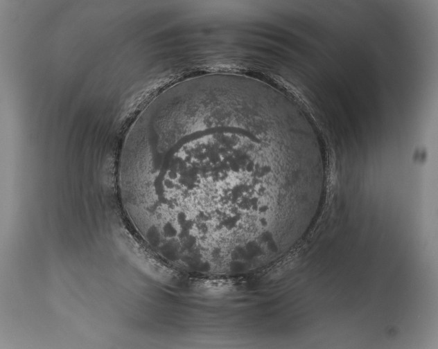 X0000115440353200911181528
