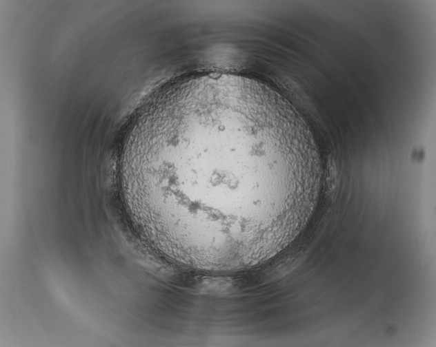 X0000115440355200911181529
