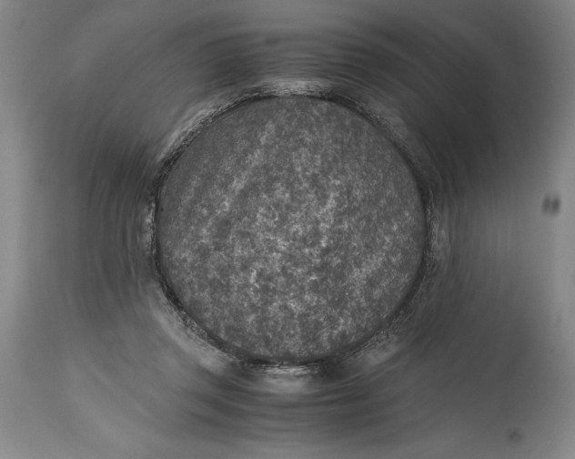 X0000115440357200911181529