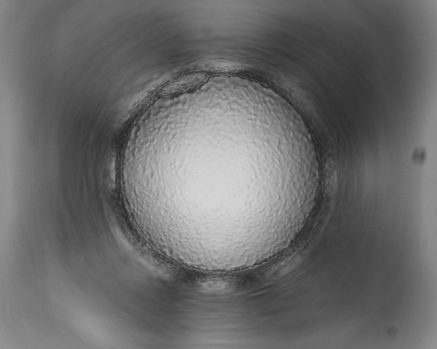 X0000115440358200911181529
