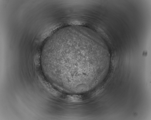 X0000115440359200911181529