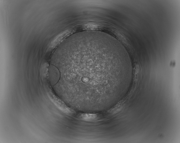 X0000115440361200911181529