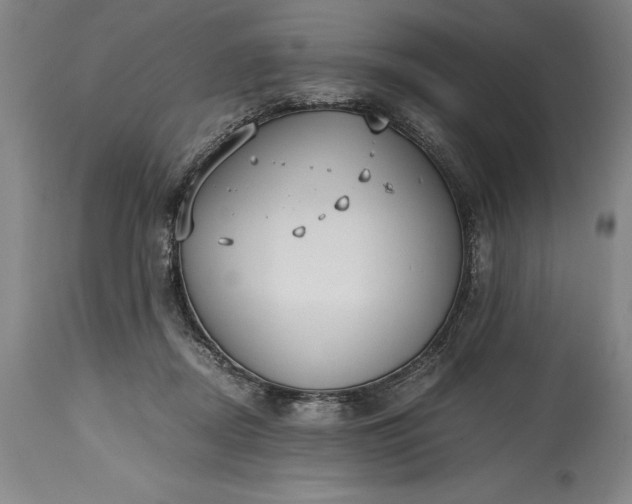X0000115440362200911181529