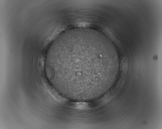 X0000115440363200911181529