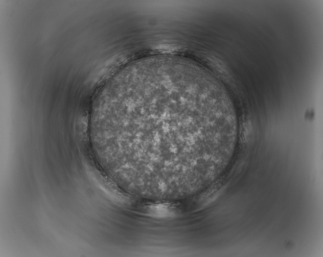 X0000115440365200911181529