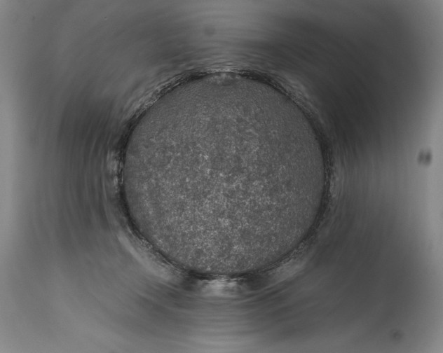 X0000115440366200911181529