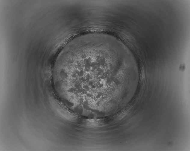 X0000115440367200911181529