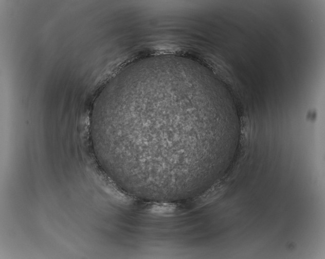 X0000115440369200911181529