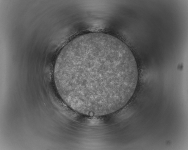 X0000115440370200911181529
