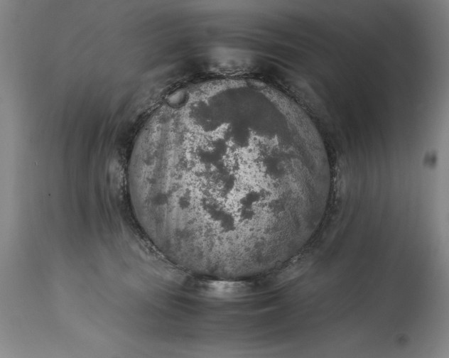 X0000115440371200911181529