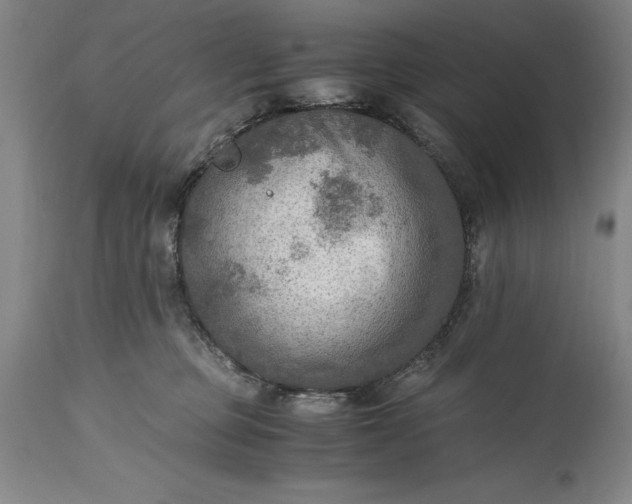 X0000115440373200911181529