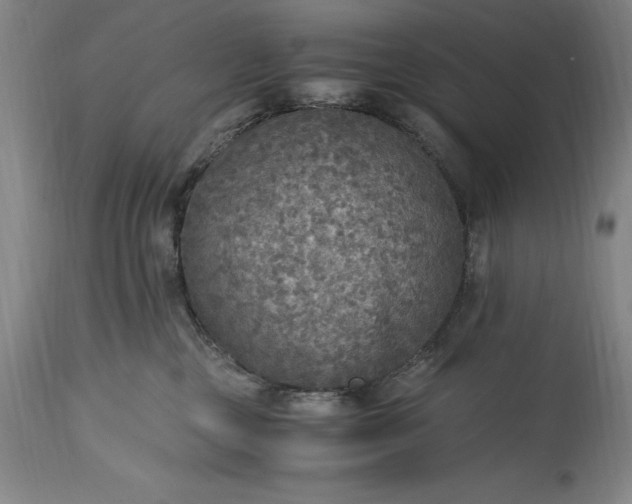 X0000115440377200911181529