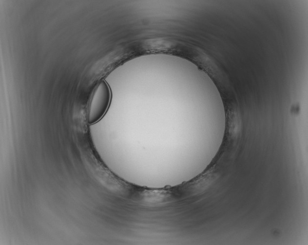 X0000115440378200911181529