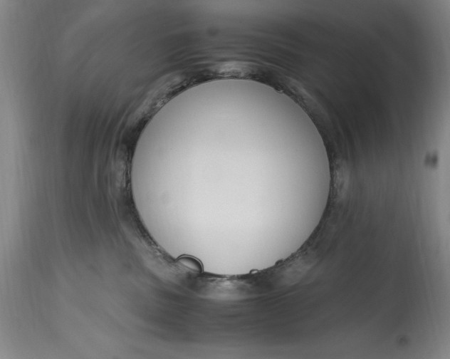 X0000115440379200911181529