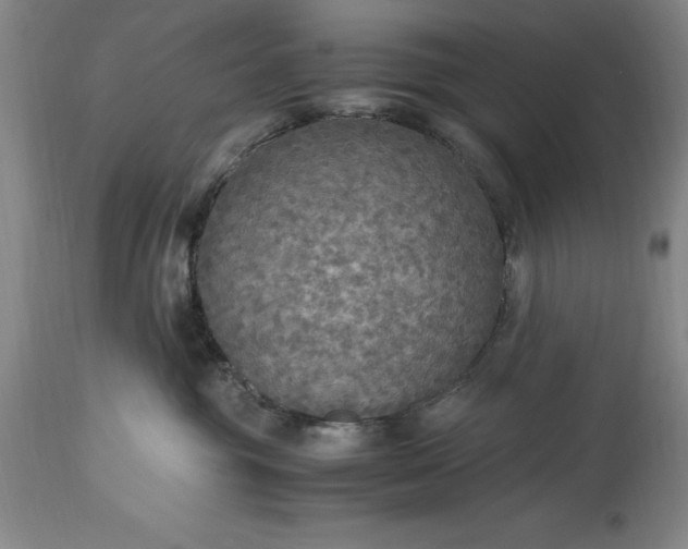 X0000115440381200911181529