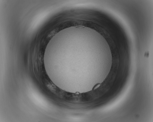 X0000115440382200911181529