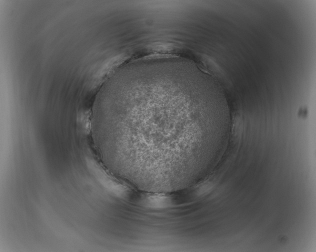 X0000115440383200911181529