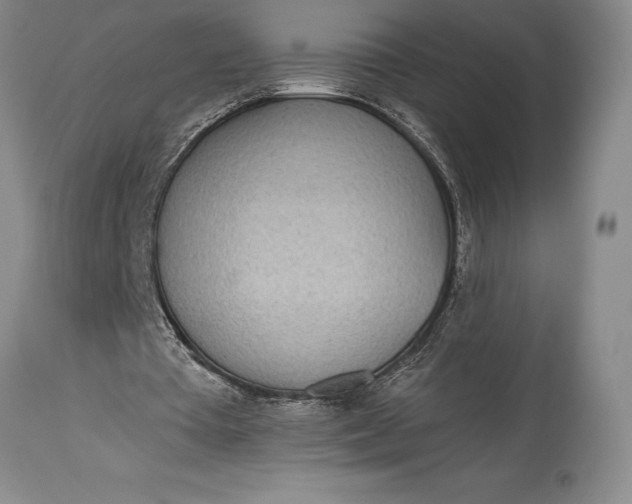 X0000115440385200911181528