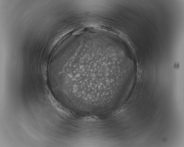 X0000115440386200911181528