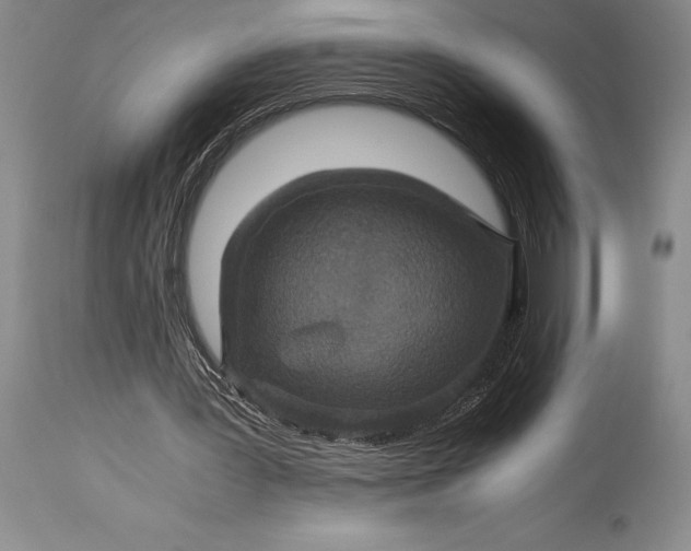 X0000115440387200911181528