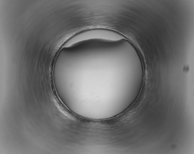 X0000115440389200911181528