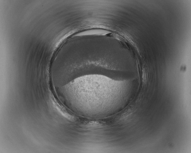 X0000115440390200911181528