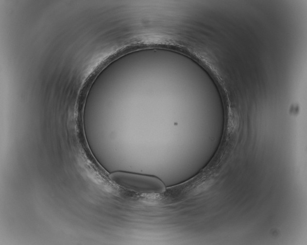 X0000115440391200911181528