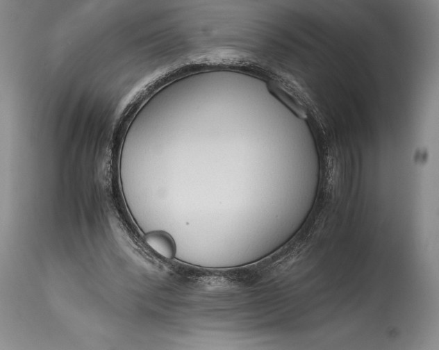 X0000115440392200911181528