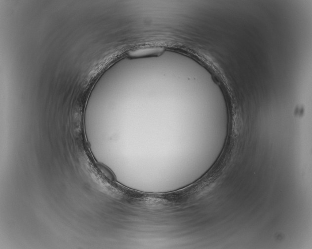 X0000115440393200911181528