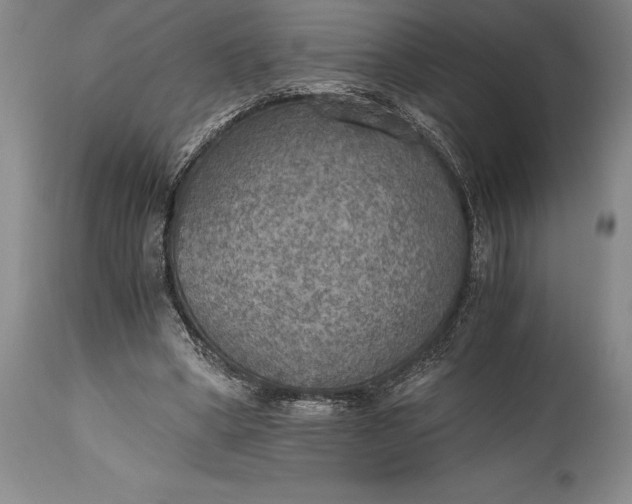 X0000115440394200911181528