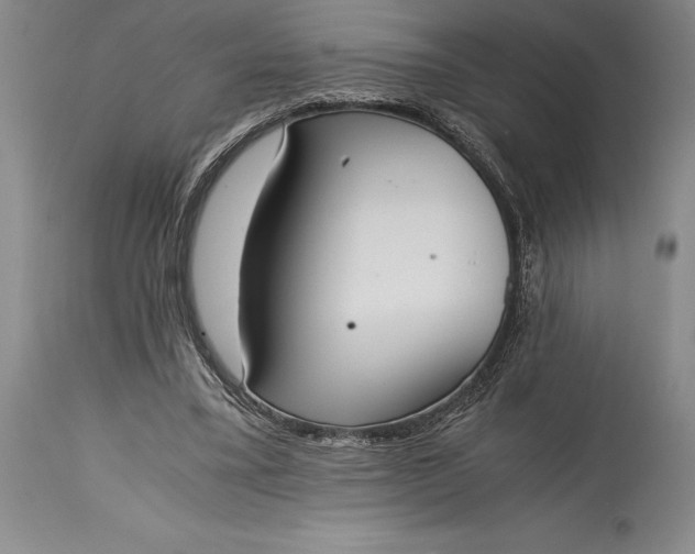X0000115440395200911181528