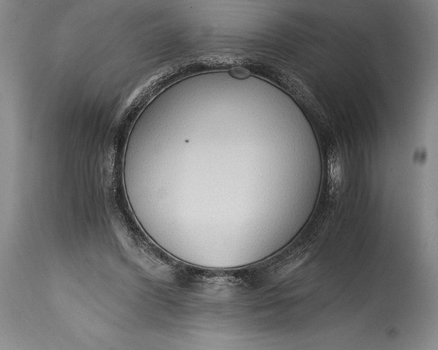 X0000115440396200911181528
