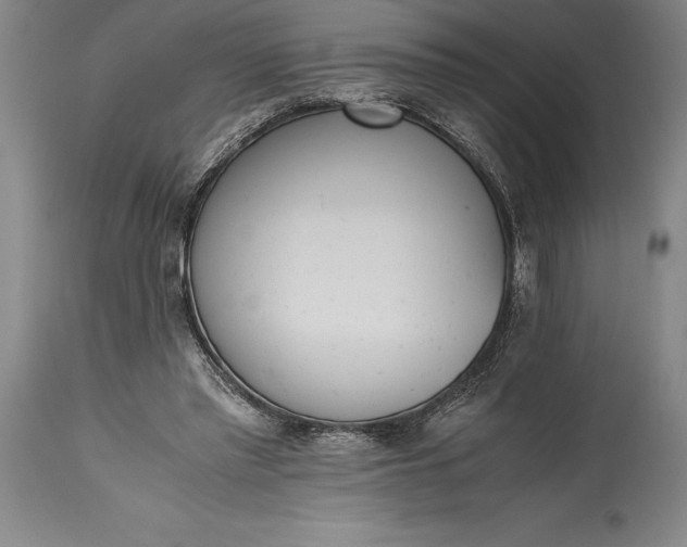 X0000115440397200911181528