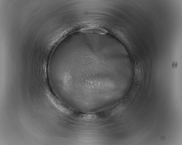 X0000115440398200911181528