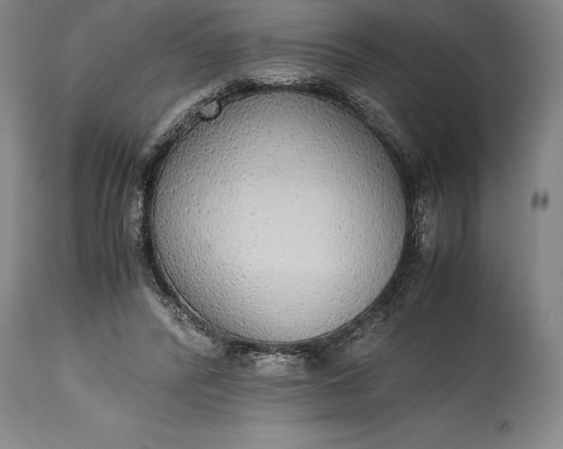 X0000115440400200911181528
