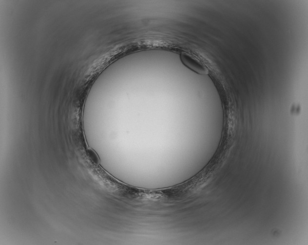 X0000115440401200911181528