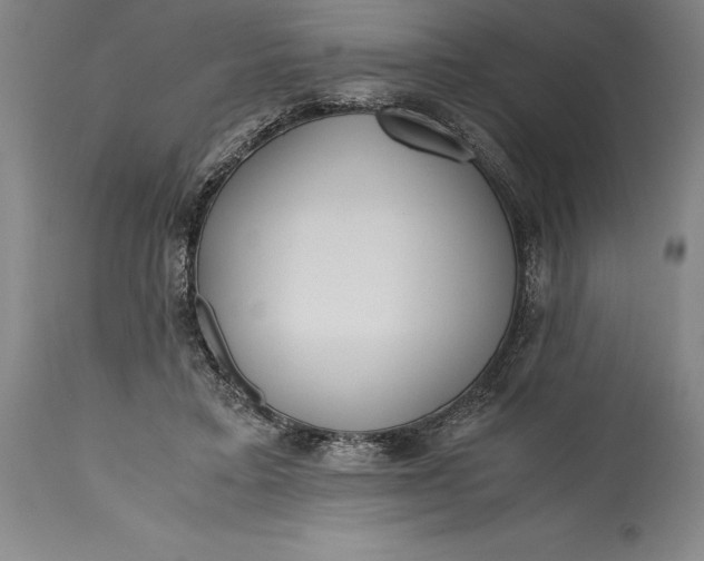 X0000115440403200911181528