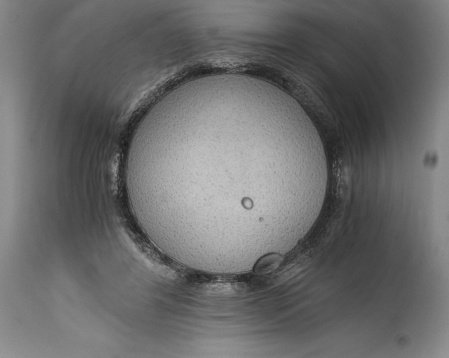X0000115440404200911181528