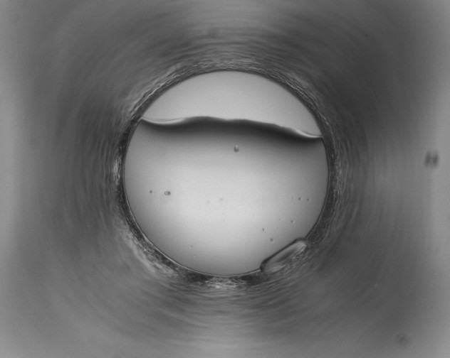 X0000115440405200911181528