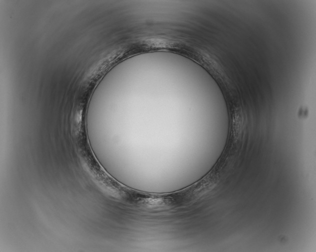 X0000115440406200911181528